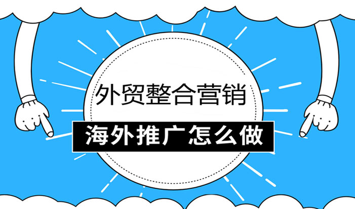 谷歌网站建设外贸整合营销  第1张